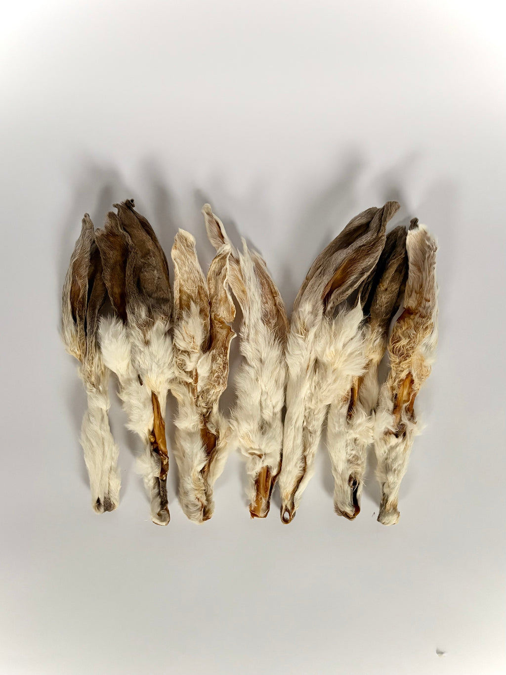 100% Natural Rabbit's Ears